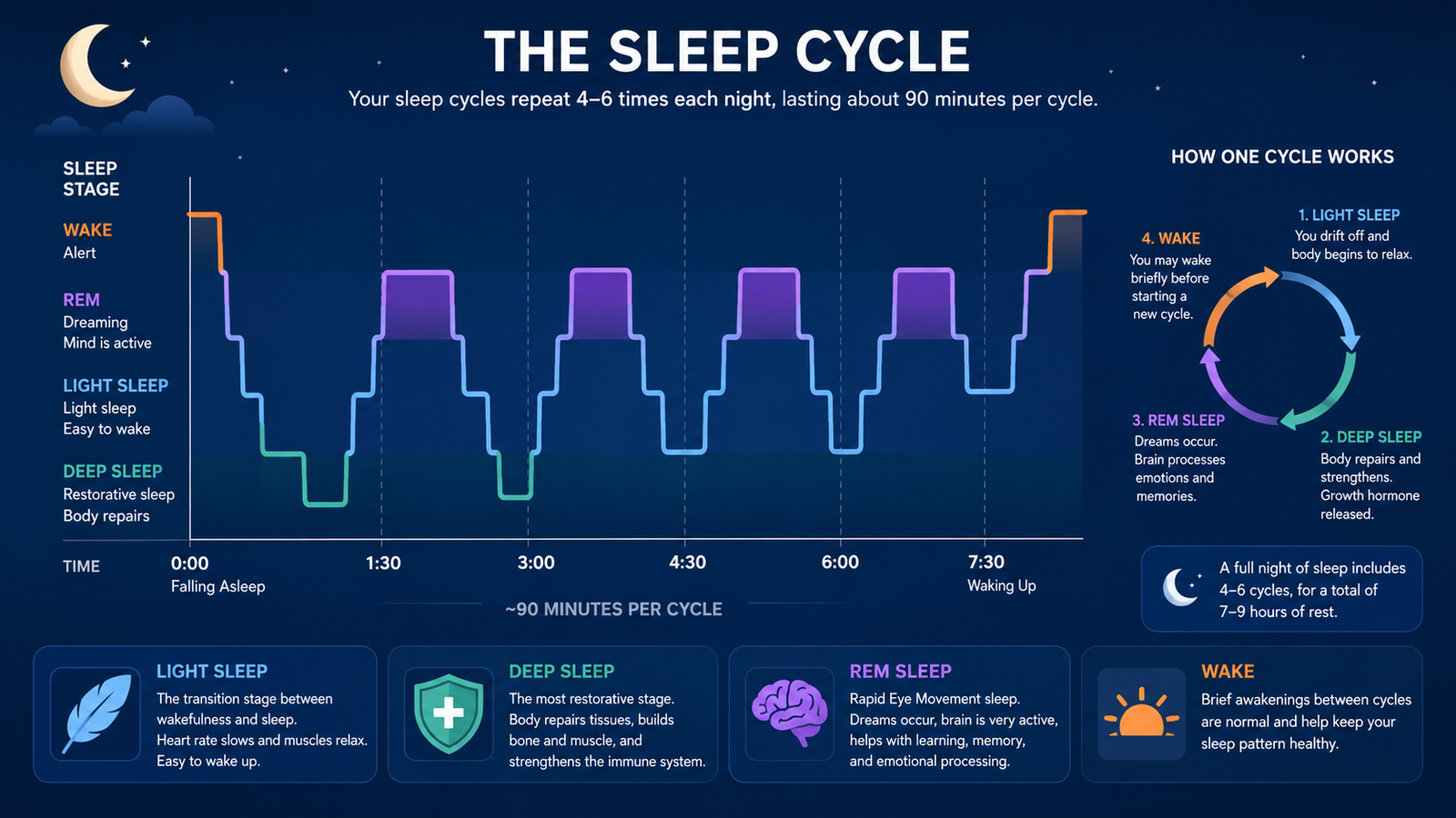sleep cycle stages showing 3 AM sleep wakeup fix window